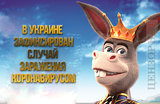 Политический штамм