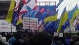 струк