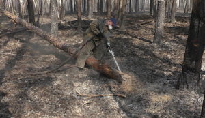 Спасатели продолжают тушить очаги тления в Чернобыльской зоне и Житомирской области, - ГСЧС