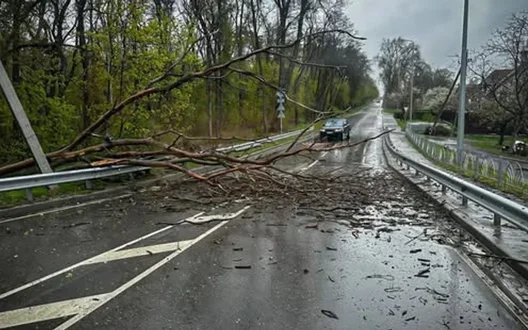 Через сильний вітер знеструмлено понад тисячу населених пунктів, — ДСНС