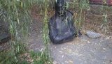 бандера тернопольщина вандализм