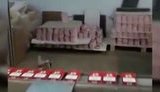На нелегальній тютюновій фабриці в Іспанії затримано сімох українців, - Держприкордонслужба. ФОТОрепортаж+ВІДЕО