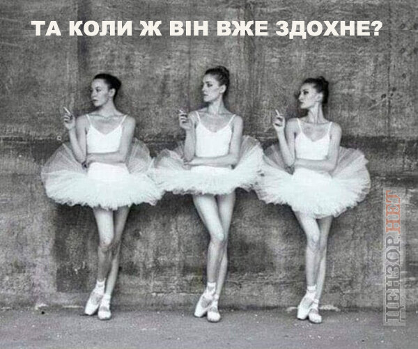 фотожаба