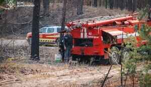 Fourth day of extinguishing forest fire in Lyman district of Donetsk region - SES. VIDEO+PHOTOS