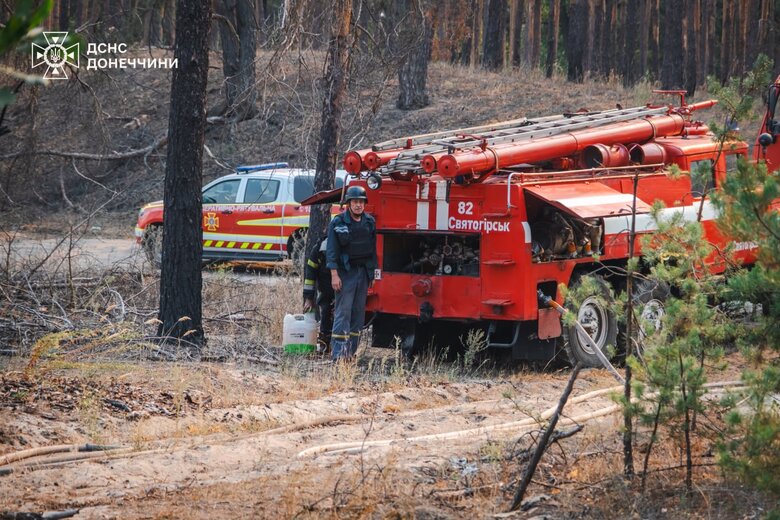 У Лиманському районі Донеччини 4 добу гасять лісову пожежу