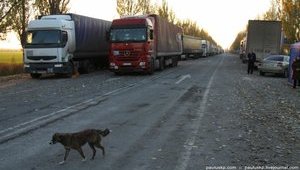 "Хлеб по 12 грн, туалет мы не видели - сказали еще 3 суток стоять", - километровые очереди фур на границе с РФ. ФОТОрепортаж+ВИДЕО