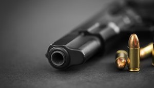 The civil weapons law will be updated