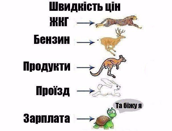 Скорость цен