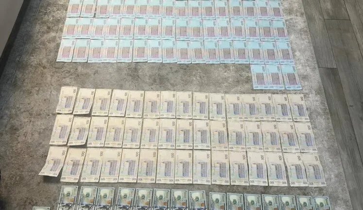 Фейкові ферми ошукували іноземців: в Україні викрили агроаферу на десятки мільйонів. ФОТОрепортаж