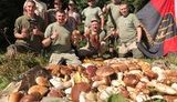 Для ветеранів війни відкривають грибні табори в Карпатах: "За чотири дні зібрали понад тонну білих грибів". ФОТОрепортаж
