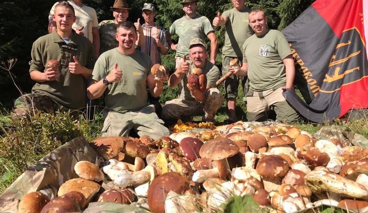 Для ветеранів війни відкривають грибні табори в Карпатах: "За чотири дні зібрали понад тонну білих грибів". ФОТОрепортаж