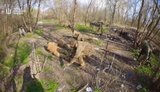 Бійці Департаменту активних дій зачистили місцевість та взяли в полон 7 рашистів