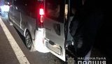 Затримано мікроавтобус із 700 кг бурштину на Житомирщині, - Нацполіція. ФОТО