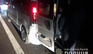 Затримано мікроавтобус із 700 кг бурштину на Житомирщині, - Нацполіція. ФОТО