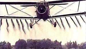Украинский самолет АН-2 попал в Книгу рекордов Гиннесса. ФОТО