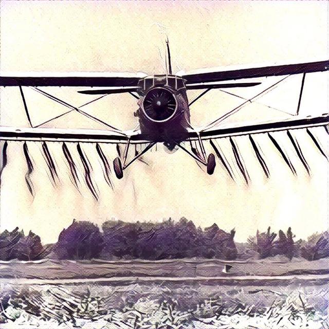 ан-2