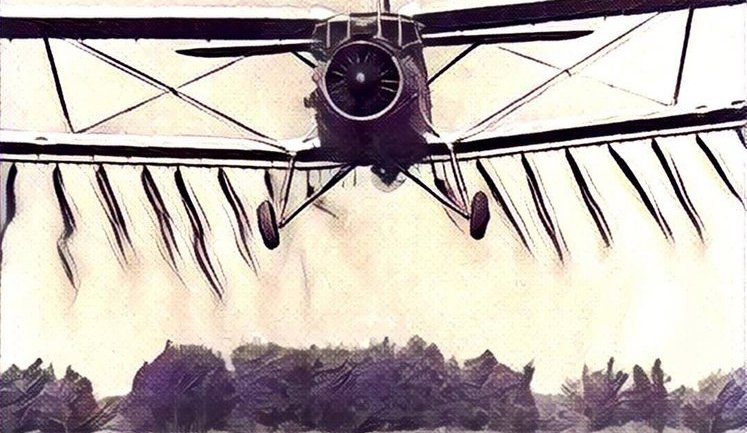 Украинский самолет АН-2 попал в Книгу рекордов Гиннесса. ФОТО