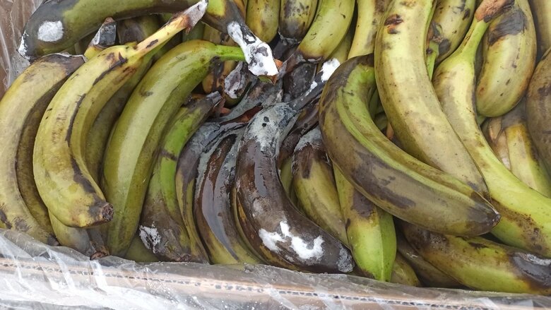 Неякісні продукти на складі військової частини 02