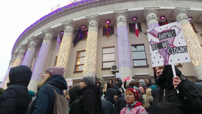 Страждання - це НЕ смішно! У Києві протестували проти використання тварин у цирку 04