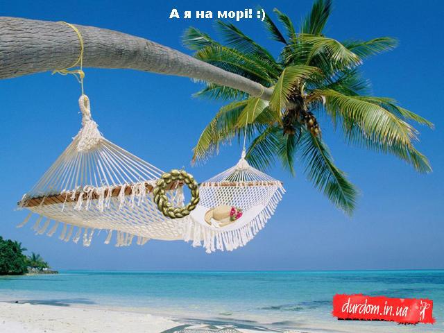 Правительство на отдыхе 2008