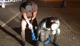 Следователь из Обухова попался на взятке в $600 за возвращение вещдоков. ФОТО