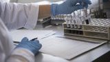 Високий рівень міграції з РФ створює ризик швидкого поширення штаму коронавірусу "дельта" в Україні, - Нацакадемія наук