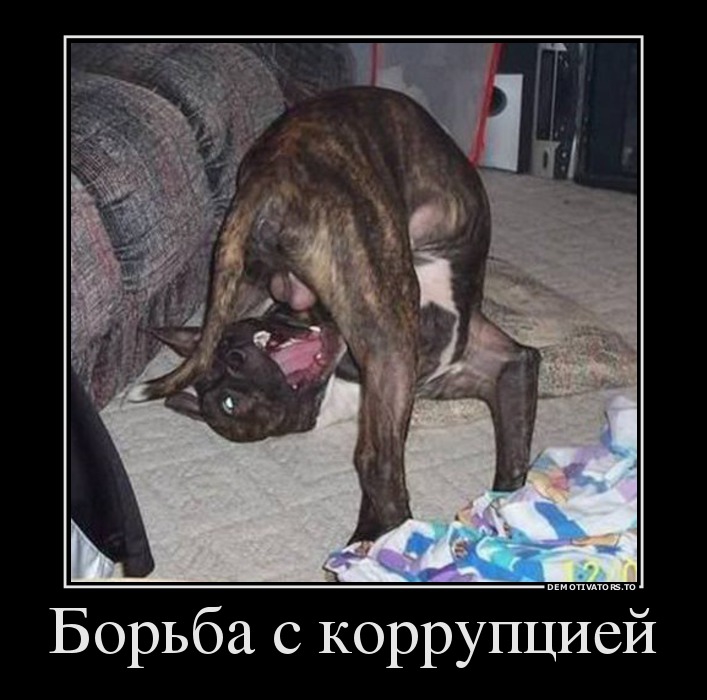 Нелегкая борьба