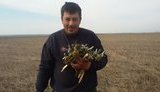 смерть барановский