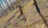 SIGNUM ликвидировал семерых оккупантов в Лиманском районе