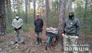 60 кг радиоактивных грибов пытались вывезти из зоны ЧАЭС, - Нацполиция. ФОТОрепортаж