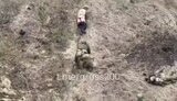 окупант,голозадий