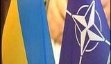 Отчет НАТО по Украине будет с учетом суда над Тимошенко, - заместитель генсека Альянса