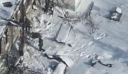 Бійці СБС підрозділу Фенікс відбили штурмові дії окупантів на Донеччині