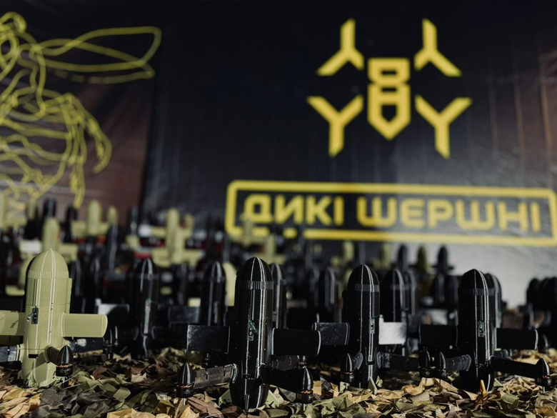 Перехоплювачі "Шахедів" виробництва компанії "Дикі Шершні"