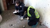 В подъезде одного из жилых домов Киева произошел взрыв, - Нацполиция. ФОТО
