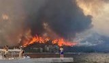 Ердоган оголосив райони пожеж у Туреччині зонами лиха