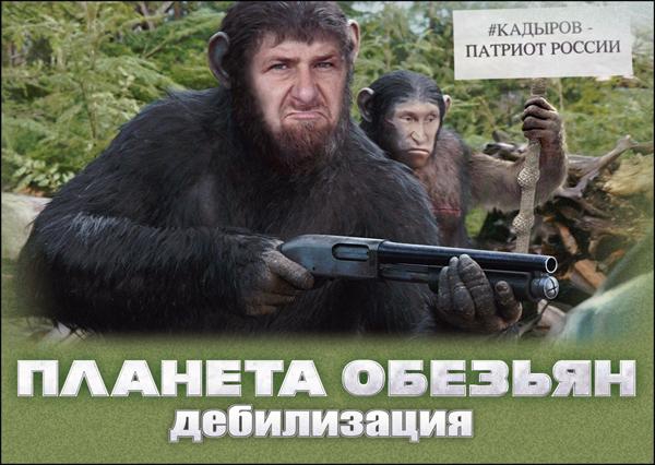 рф