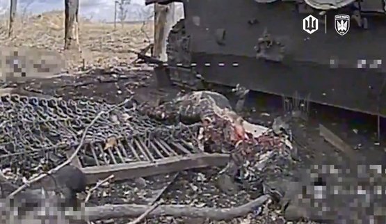 Українські дронарі Птахів Мадяра ліквідували окупанта серед залишків розбитої ворожої техніки