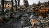 рф,буча,знищення,ліквідація