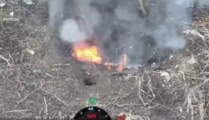 Border guards of "Steel Border" struck eight enemy shelters and camouflaged gun using "Vampire" drones. VIDEO