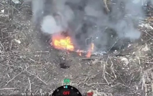 Прикордонники 