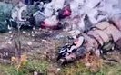 кот грыз ногу ликвидированного оккупанта на Харьковщине