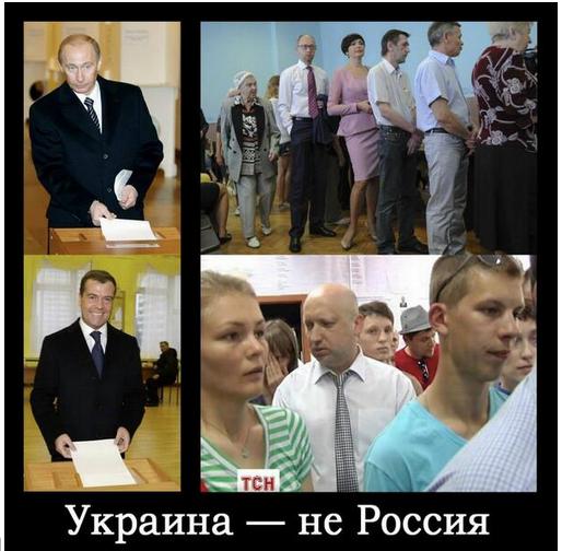выборы