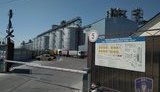 кукуруза