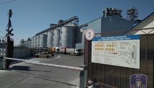 Київські податківці не допустили незаконного експорту майже 10 тисяч тонн кукурудзи. ФОТОрепортаж