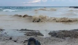 Environmental pollution in the Odesa region