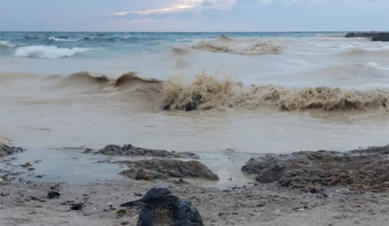 Environmental pollution in the Odesa region