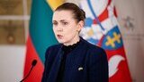 Довиле Шакалиене о закупке оружия для ВСУ