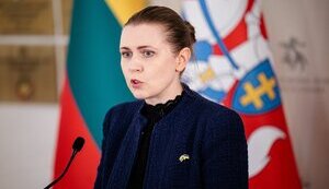 Литва планирует выделить до 30 млн евро на закупку Patriot для Украины, - министр обороны Шакалиене