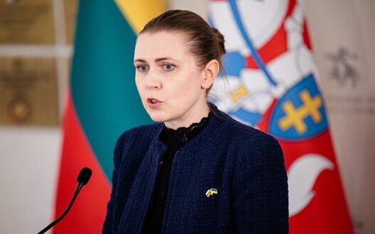 Lithuania plans to allocate up to 30 million euros fo purchase of Patriot for Ukraine, - Defense Minister Šakalienė